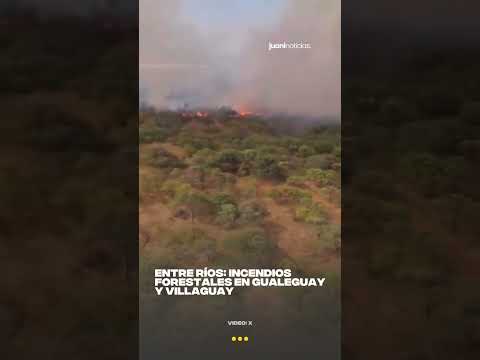 INCENDIOS en ENTRE RÍOS
