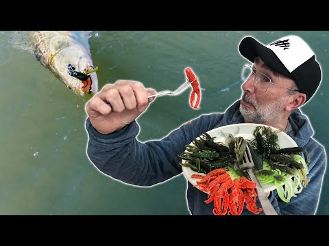 The best CANCER montages