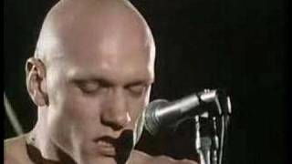 Midnight Oil - Used &amp; Abused (1978)