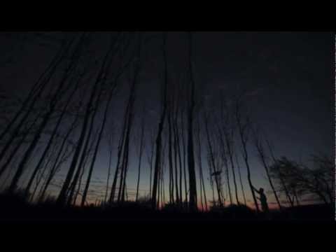 Will Cookson - The Night