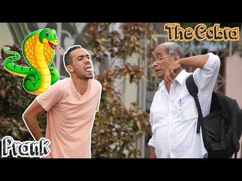🐍THE COBRA [PRANK]
