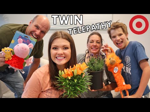 Twin Telepathy Target Challenge