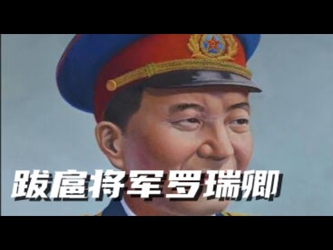 文化大革命10，罗瑞卿审理潘汉年，罗瑞卿得罪周恩来和叶剑英，潘汉年见汪精卫始末，毛泽东和汪精卫的渊源，叶剑英前妻的家世，罗瑞卿和戴笠的关系。#毛泽东#文化大革命#蒋介石#周恩来#中国政治#文革 #中共