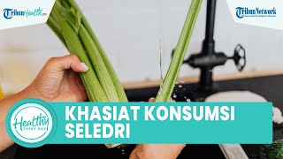 Khasiat Konsumsi Seledri Bisa Menurunkan Berat Badan, Inilah Sederet Manfaat untuk Kesehatan Tubuh