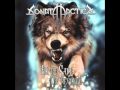 Sonata Arctica - Black Sheep (live) 