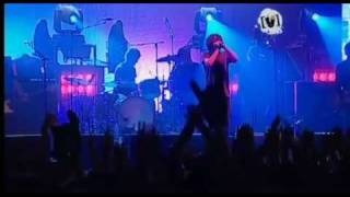 Powderfinger - Like A Dog (live)