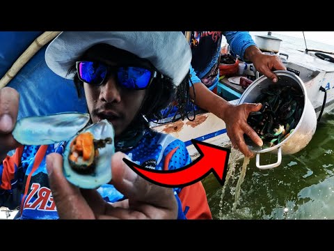 Fishermen Gave Us These and we Ate them on The Boat | Catch and Cook