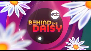 Behind the Daisy: The Warehouse