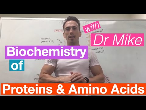 Proteine ​​& Aminosäuren | Biochemie