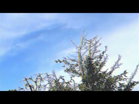 Days to Waste | Headspace