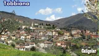 preview picture of video 'Comune di MONTALE (provincia di Pistoia) : I suoi 7 RIONI STORICI - (Caligolar)'