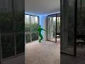 SERBIAN Dancing LADY In My House SHOCKING Video