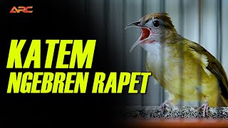 Download lagu MASTERAN DAN PANCINGAN KAPAS TEMBAK NGEBREN RAPET SUPER GACOR mp3 Download lagu MASTERAN DAN PANCINGAN KAPAS TEMBAK NGEBREN RAPET SUPER GACOR mp3