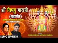 श्री विष्णु गायत्री मंत्र 🙏Shree Vishnu Gayatri Mantra 🙏 | SURESH WADK