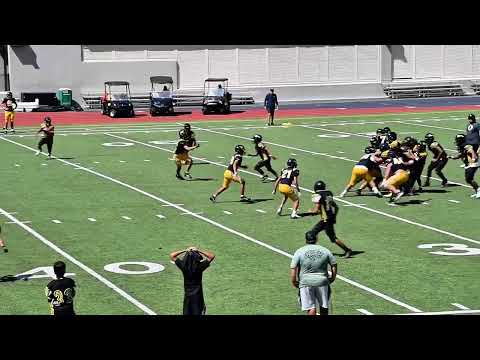 2026 Mid-Season Highlights