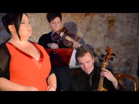 Galakoncert 2013 - záznam koncertu (Festival Jarmily Novotné 2013)