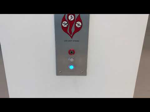 ThyssenKrupp Endura Hydraulic Elevators | Lynn University Center, Lynn University | Boca Raton, FL