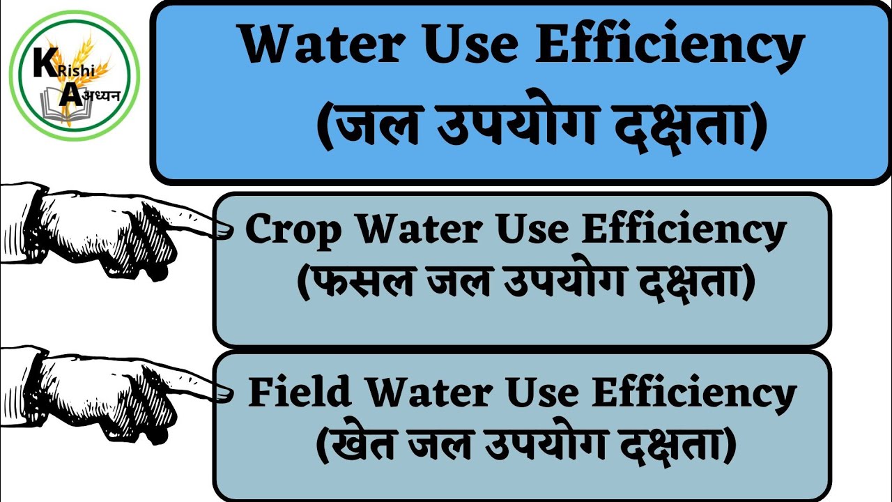 Water Use Efficiency(WUE)👉Crop Water Use Efficiency/Field Water Use Efficiency #irrigation #agronomy