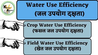 Water Use Efficiency(WUE)👉Crop Water Use Efficiency/Field Water Use Efficiency #irrigation #agronomy