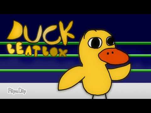 Duck Beatbox Solo 1 - The Beatboxing Competition