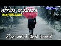 Nidan Karan Obe Mathake Song With Lyrics Rosa Kudayaka Wessa Dawasaka Pinne Song With Lyrics