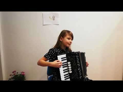 Akordeonový koncert