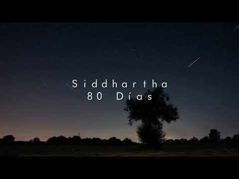 Siddhartha, Carlos Sadness - 80 Días (Slowed + Reverb)