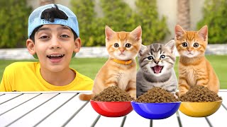Jason Cats and Plays Hide & Seek with Kittens!