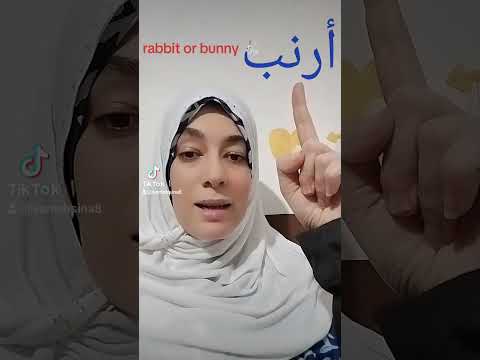 learn Arabic with samah