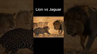 León vs Jaguar