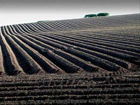 Palermo Trío - Campo afuera (Milonga de Biagi y Manzi)