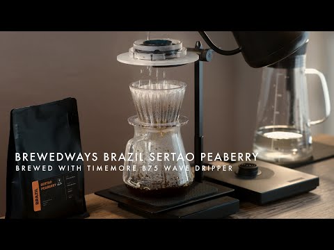 Brewing Yellow Bourbon Coffee from Brazil with TIMEMORE B75 Dripper