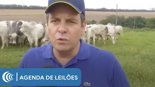 Miniatura do vídeo