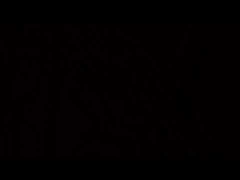 04-21-2019 PM (Easter)