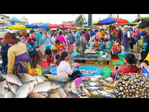 The Common Place To Trade - Site Of Fish & Seafood Distribution @ Chhbar Ampov Market