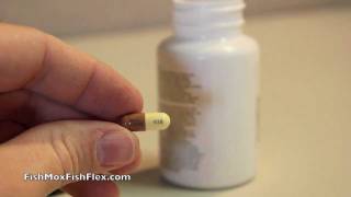 Fish Mox 30 Count Amoxicillin 250 mg Fish Antibiotic