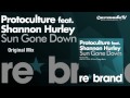 Protoculture feat. Shannon Hurley - Sun Gone Down (Original Mix)