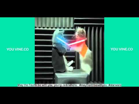 Zach King Vine Compilation 2015 - With Captions