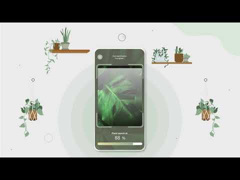 Willow App | Explainer Video | Motion Graphics | Plant care Video | After Effects