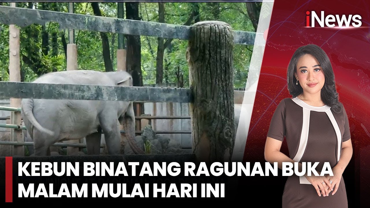 Uji Coba Wisata Malam Taman Margasatwa Ragunan Digelar | iNews  Sore (11/10)