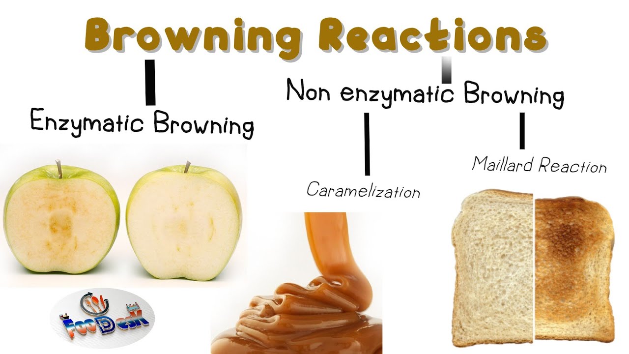 What is enzymatic and non enzymatic browning explain with examples