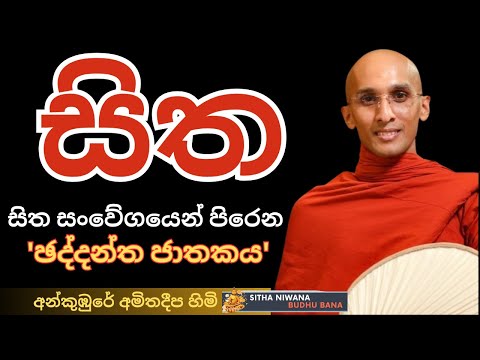 New #mahamevnawa Dharma Deshana by Ven Ankumbure Amitha Deepa Himi | ඡද්දන්ත ජාතකය