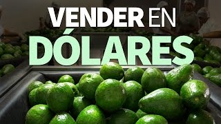 Vender en dólares