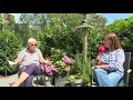 De vakantieherinnering van Tineke