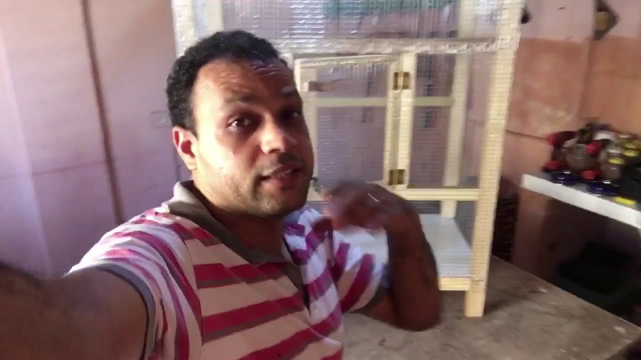 Jaula para periquitos | Como hacer una jaula de madera Casera para pajaros Exoticos - Tapiceria