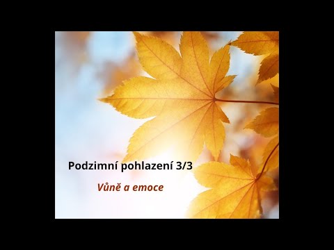 Podzimní pohlazení 3/3