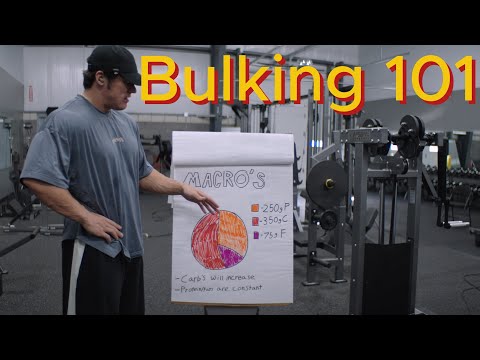 Bulking 101 - Intro Lecture