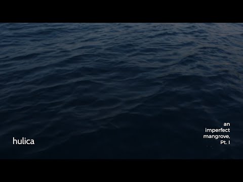 hulica - an imperfect mangrove, Pt. I [Official Lyric Video]
