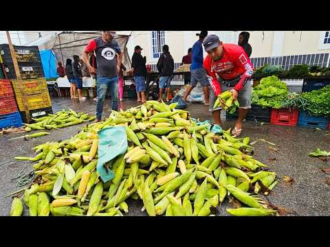 FEIRA COM CHUVA 🌧️E MUITO MILHO MADURO EM SANHARÓ-PE