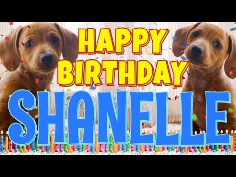 Happy Birthday Shanelle! ( Funny Talking Dogs ) What Is Free On My Birthday